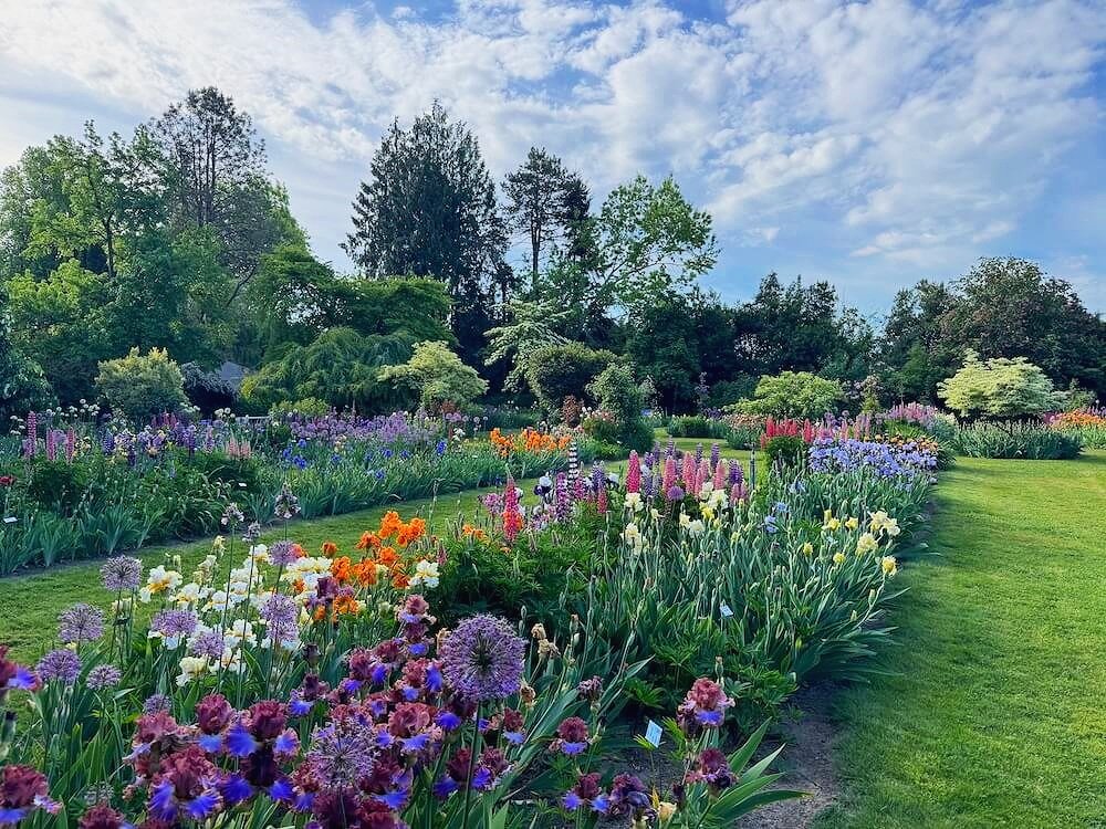 SCHREINER’S GARDENS