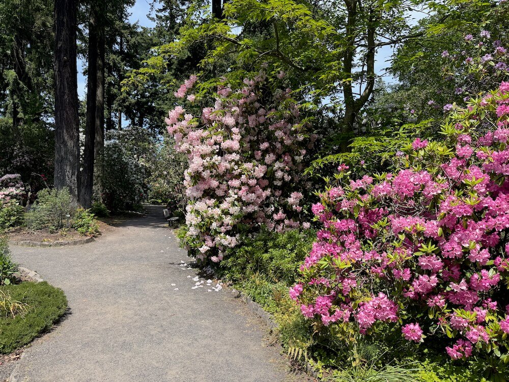 CRYSTAL SPRINGS RHODODENDRON GARDEN