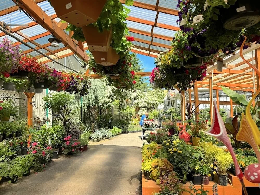 Bellevue Nursery