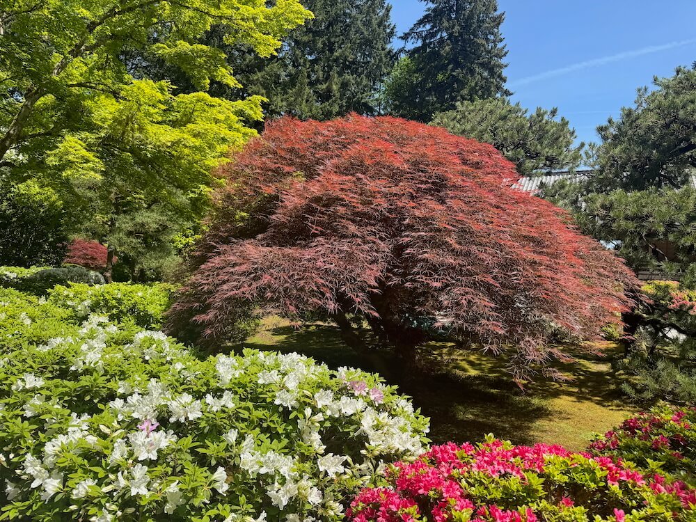 PORTLAND JAPANESE GARDEN