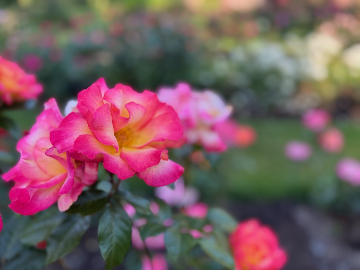 Oregon Botanical Gardens Tour