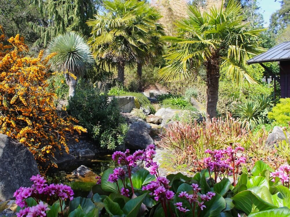 WINDCLIFF GARDEN