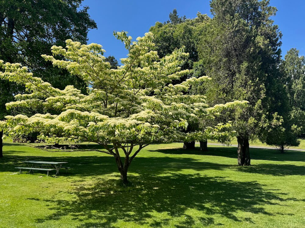 POINT DEFIANCE PARK