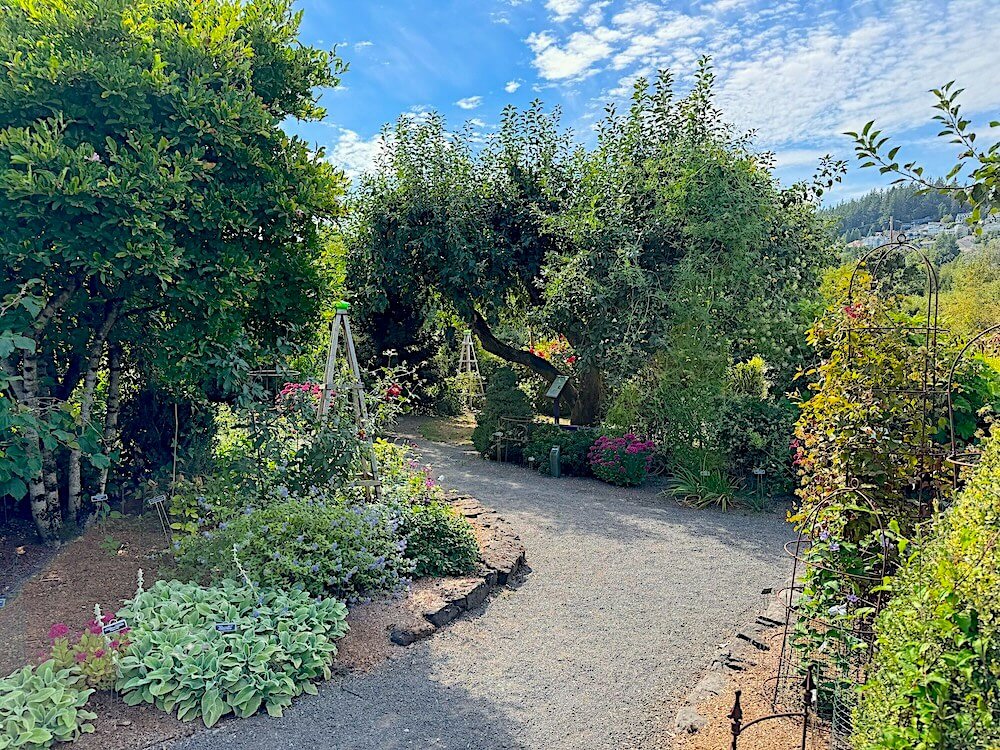 ROGERSON CLEMATIS GARDEN