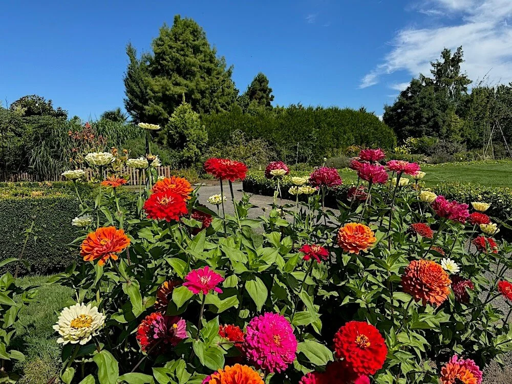 THE OREGON GARDEN