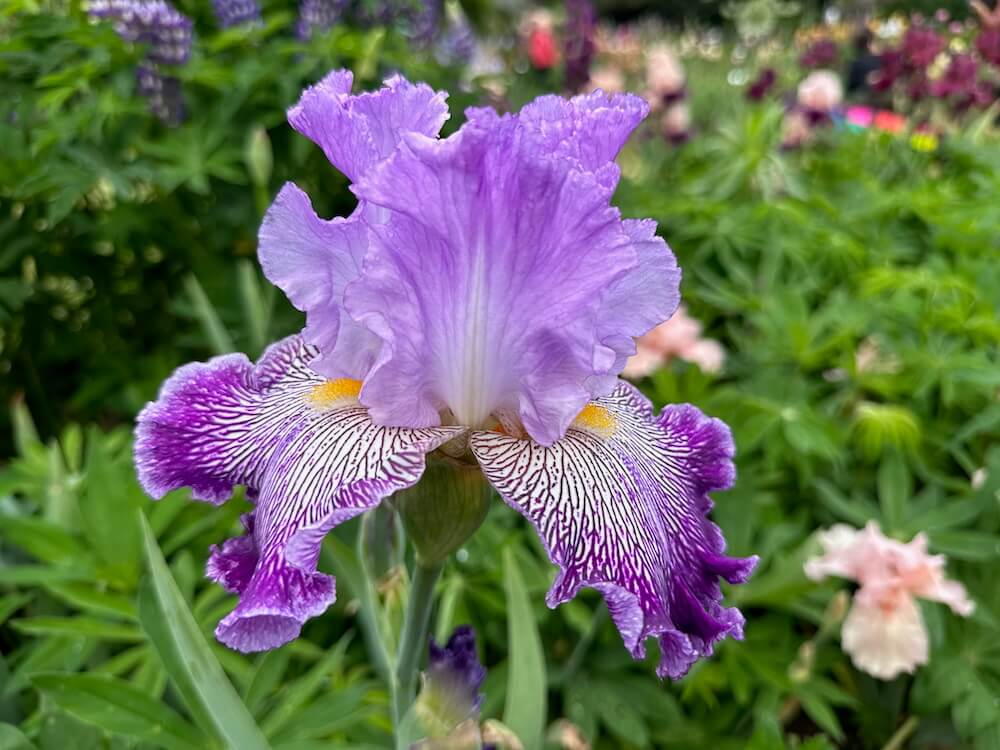 Plant Nurseries