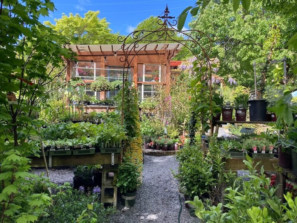 Urban Earth Nursery