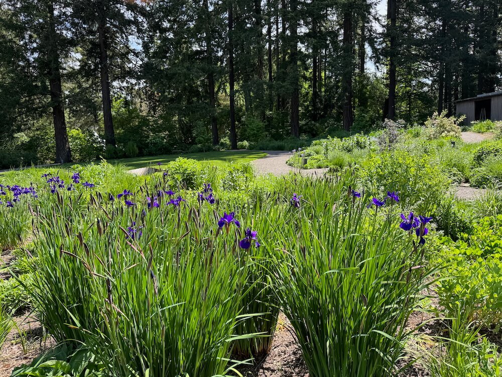LEACH BOTANICAL GARDEN