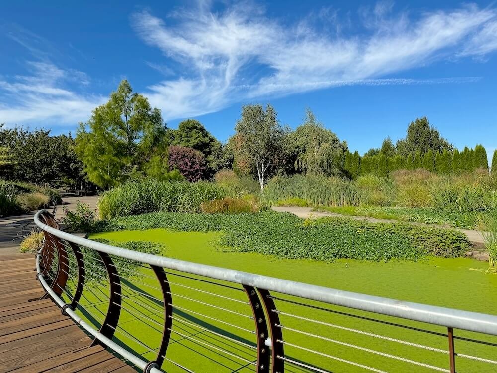 THE OREGON GARDEN