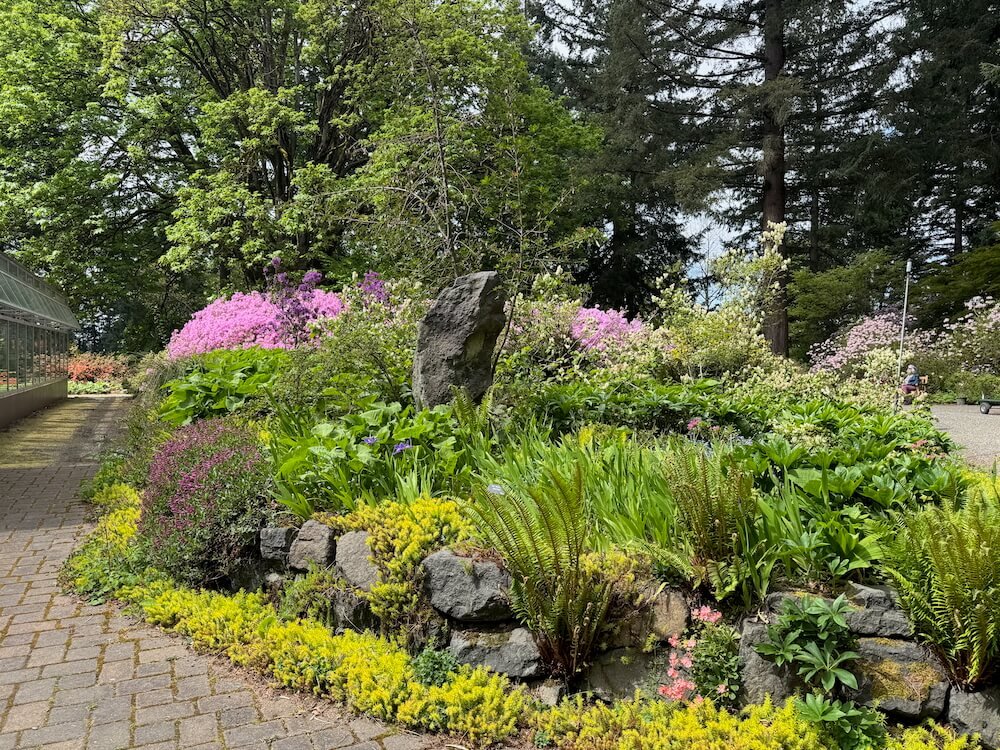RHODODENDRON SPECIES BOTANICAL GARDEN