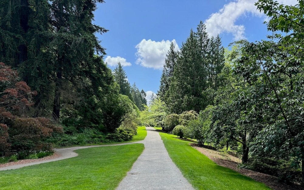 Washington Park Arboretum