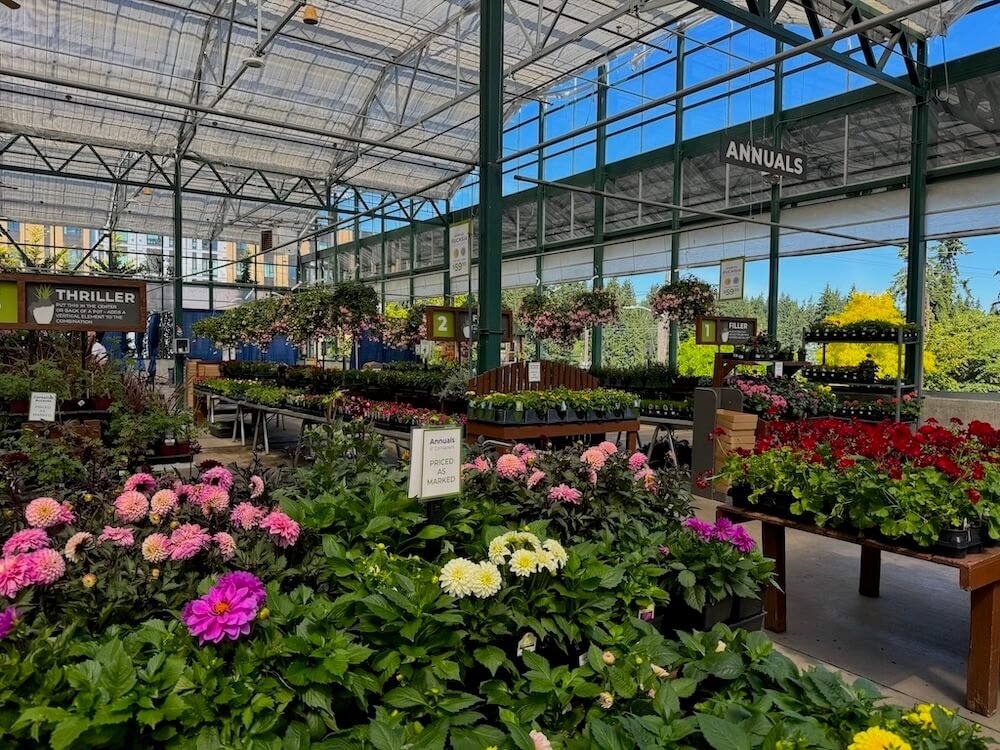 SKY Nursery