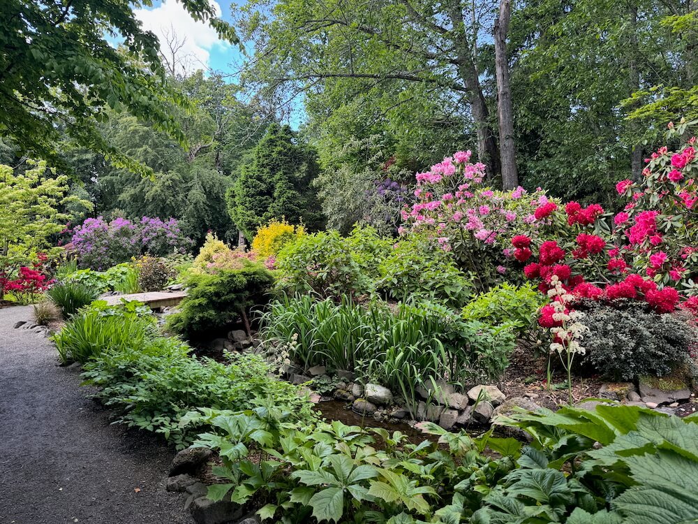 HIGHLINE SEATAC BOTANICAL GARDEN