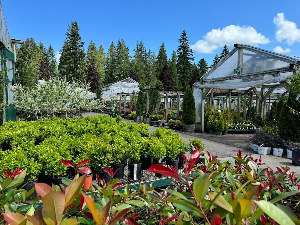 Flower World