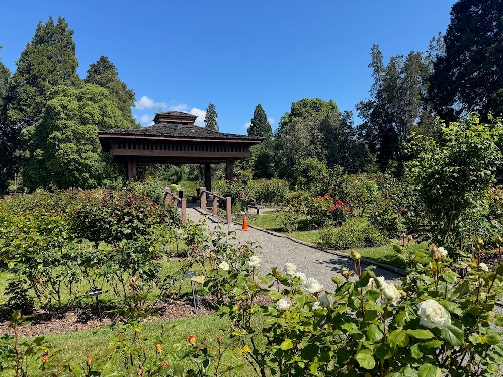 POINT DEFIANCE PARK