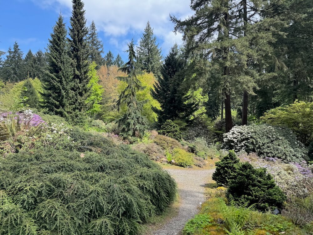 RHODODENDRON SPECIES BOTANICAL GARDEN